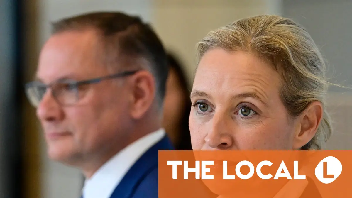 What we know so far about the Alternative for Germany email leak