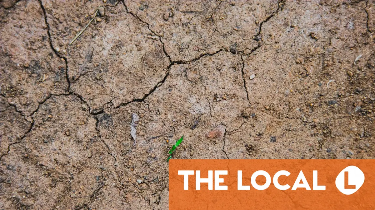 Swiss government unveils new strategy to combat heatwaves and drought