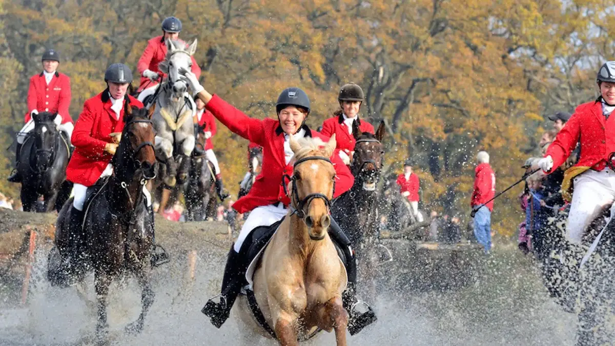 Return centres, taxes and a hunt: What changes in Denmark in November 2026