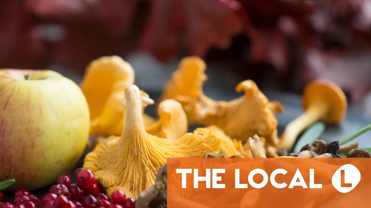 Six irresistible late-summer foods that make the most of Sweden's produce