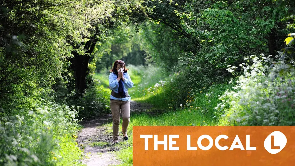 What you need to know