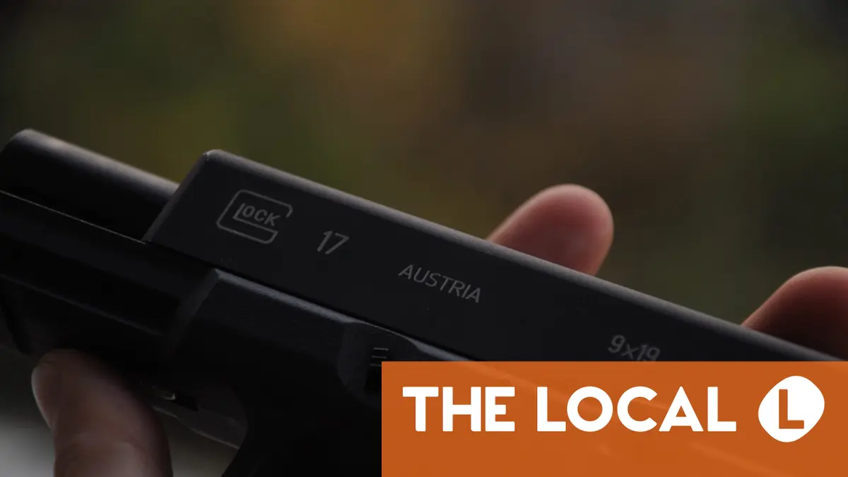 EXPLAINED: What are the rules in Austria on gun ownership?