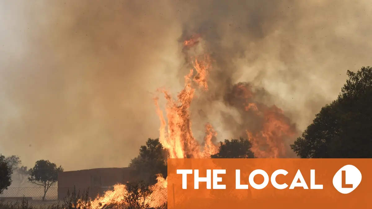 Neglected forests at the mercy of wildfires in Spain and Portugal