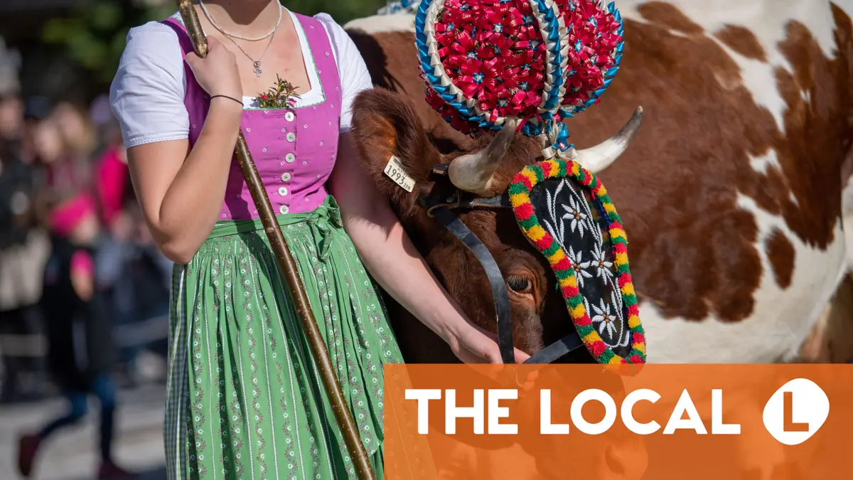 Thrifty Swabians and haughty Hamburgers: A guide to Germany's regional stereotypes