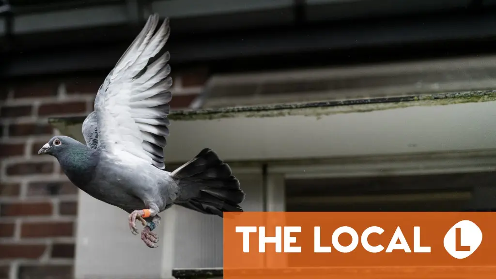 French history myths: The French army still sends messages by carrier pigeon