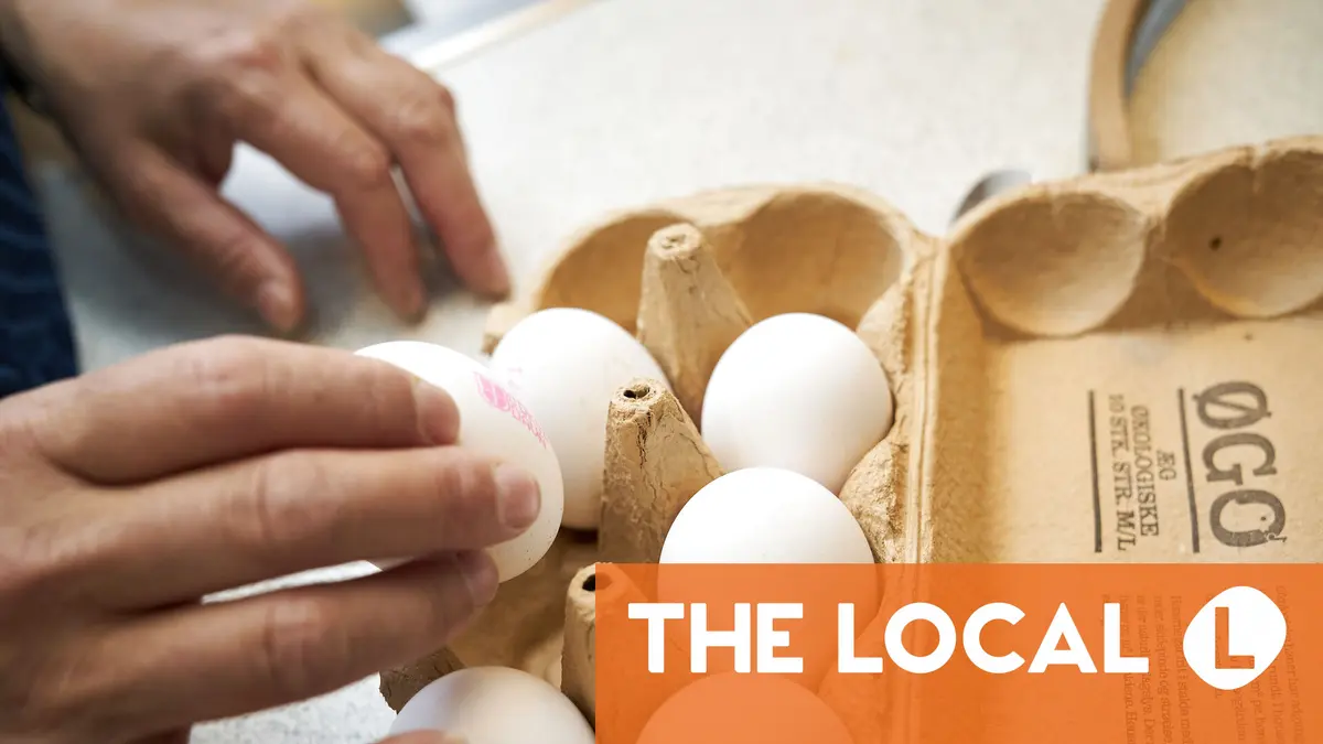 ?Forever chemical’ PFAS found in organic eggs in Denmark
