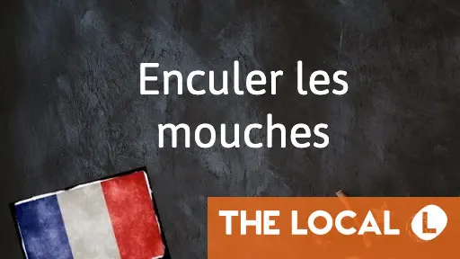 French Expression of the Day: Enculer les mouches