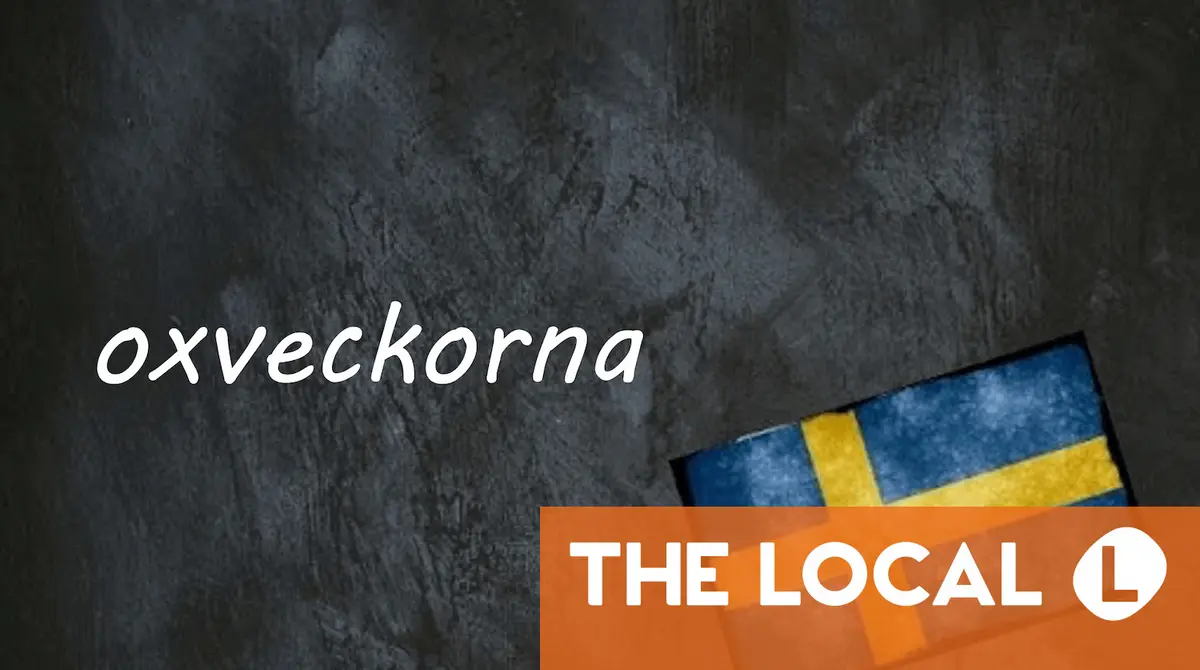 Swedish word of the day: oxveckorna