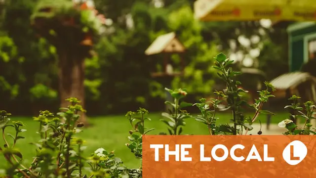 RULES: What you can and can't do in your garden in Switzerland