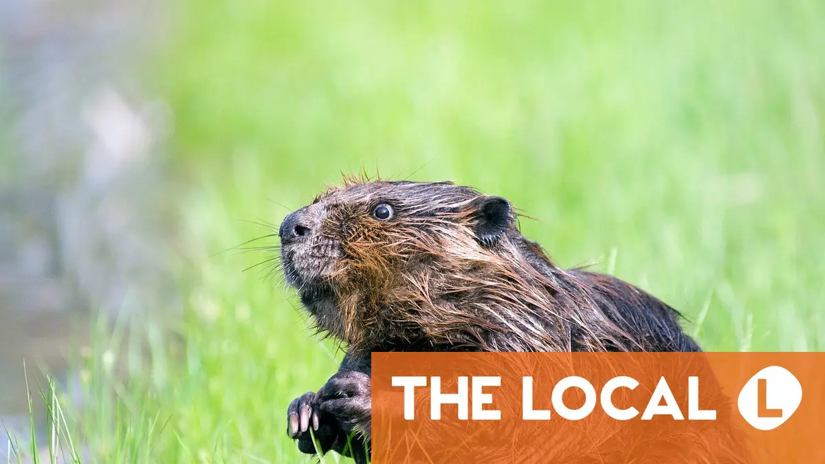 Today in Austria: A roundup of the latest news on Tuesday