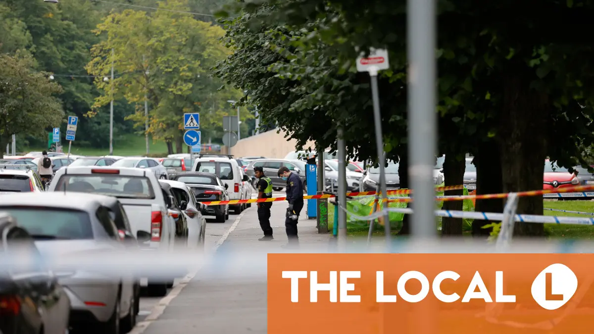 Bomb squads called in as Sweden rocked by four blasts in one night