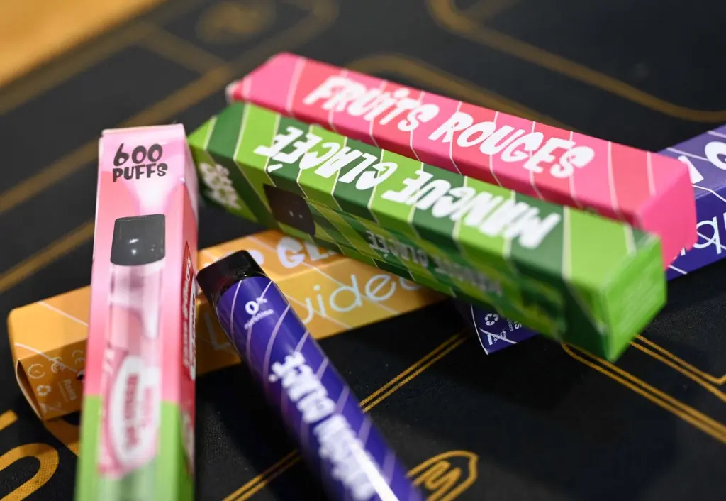 france ban disposable vapes 2024 law 