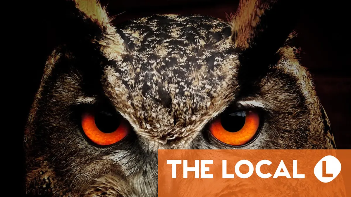 ¡Ojo! 14 very useful Spanish expressions with the word eye