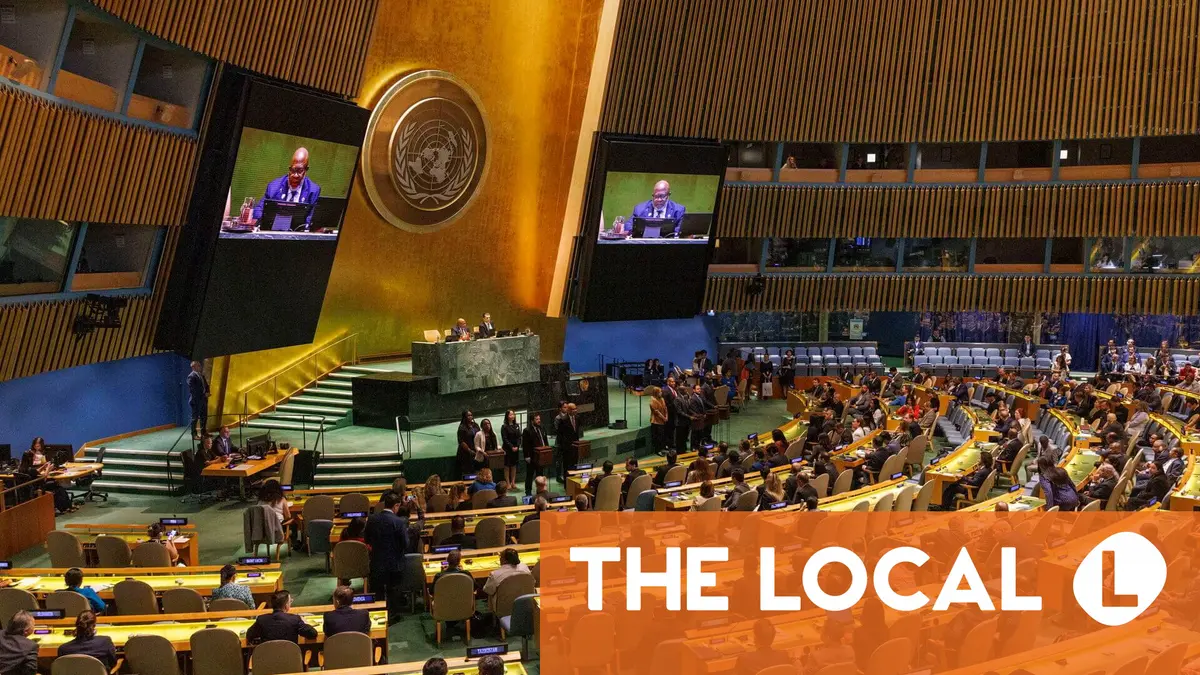 Denmark gets seat on UN Security Council