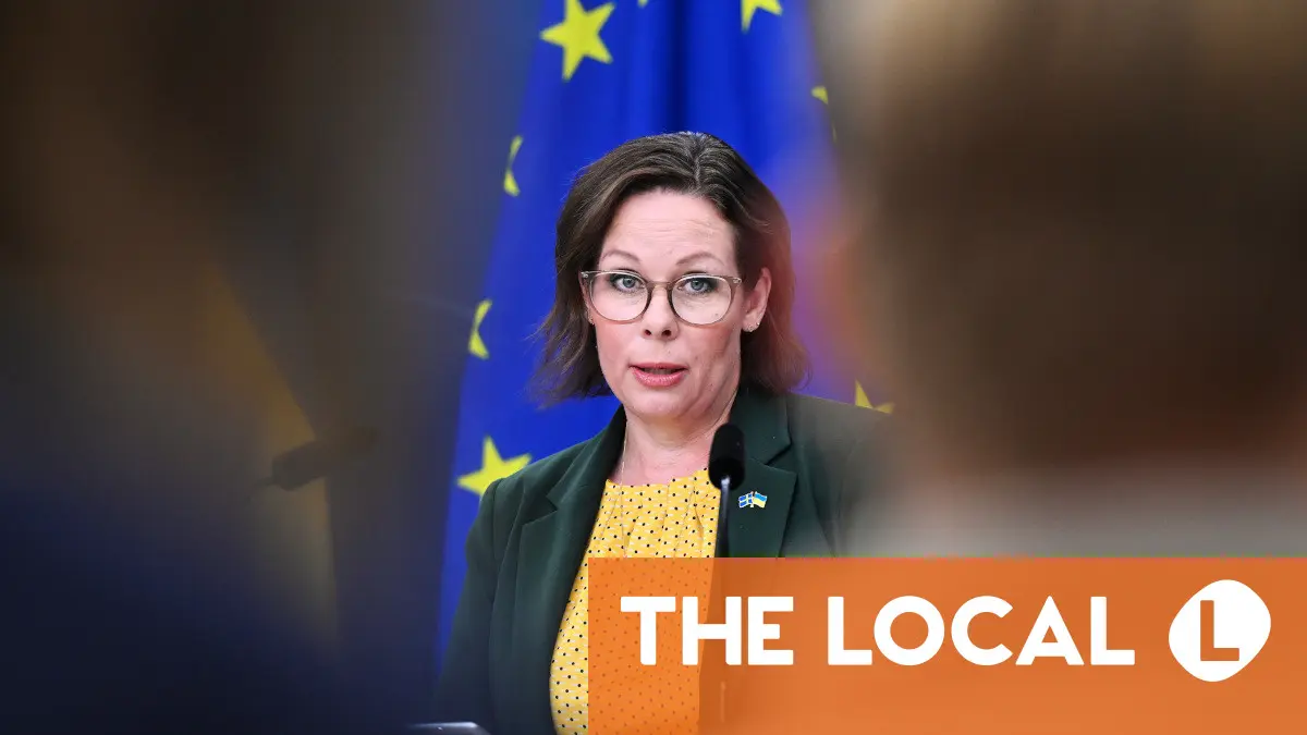Inside Sweden: Is it really a cause for celebration that immigration is shrinking?