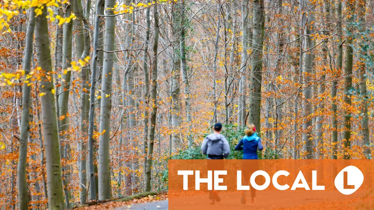 Which German autumn personality type are you?