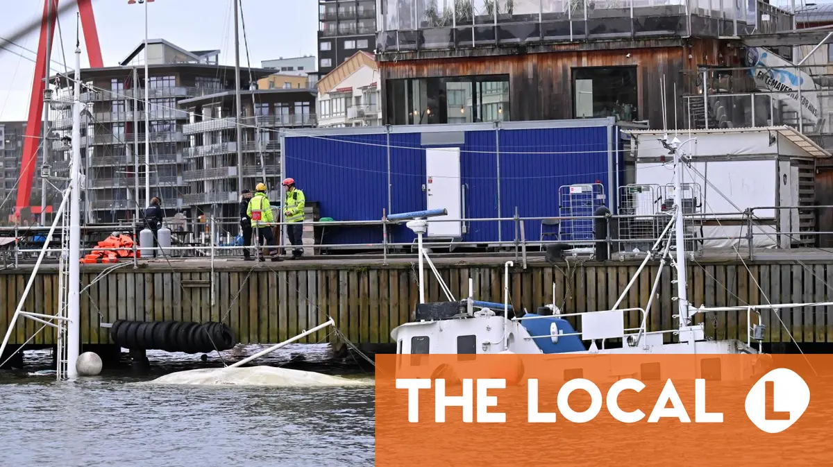 Today in Sweden: A roundup of the latest news on Monday