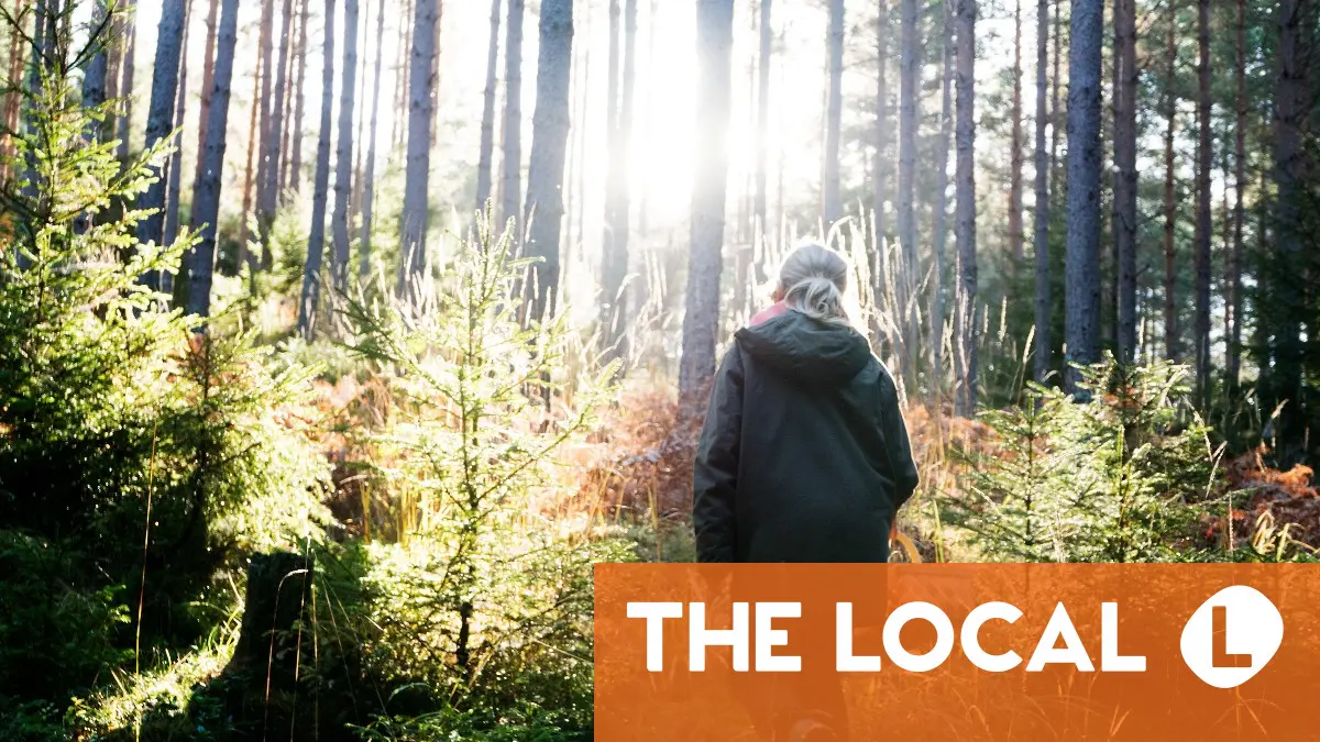 Inside Sweden: What a mushroom-hunting trip taught me about judging Swedes