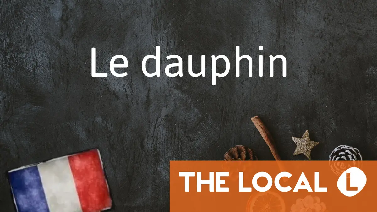 French Word of the Day: Le dauphin