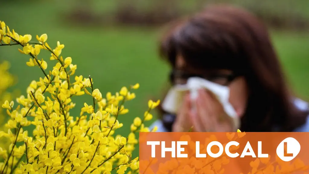 How to check the pollen forecast in France