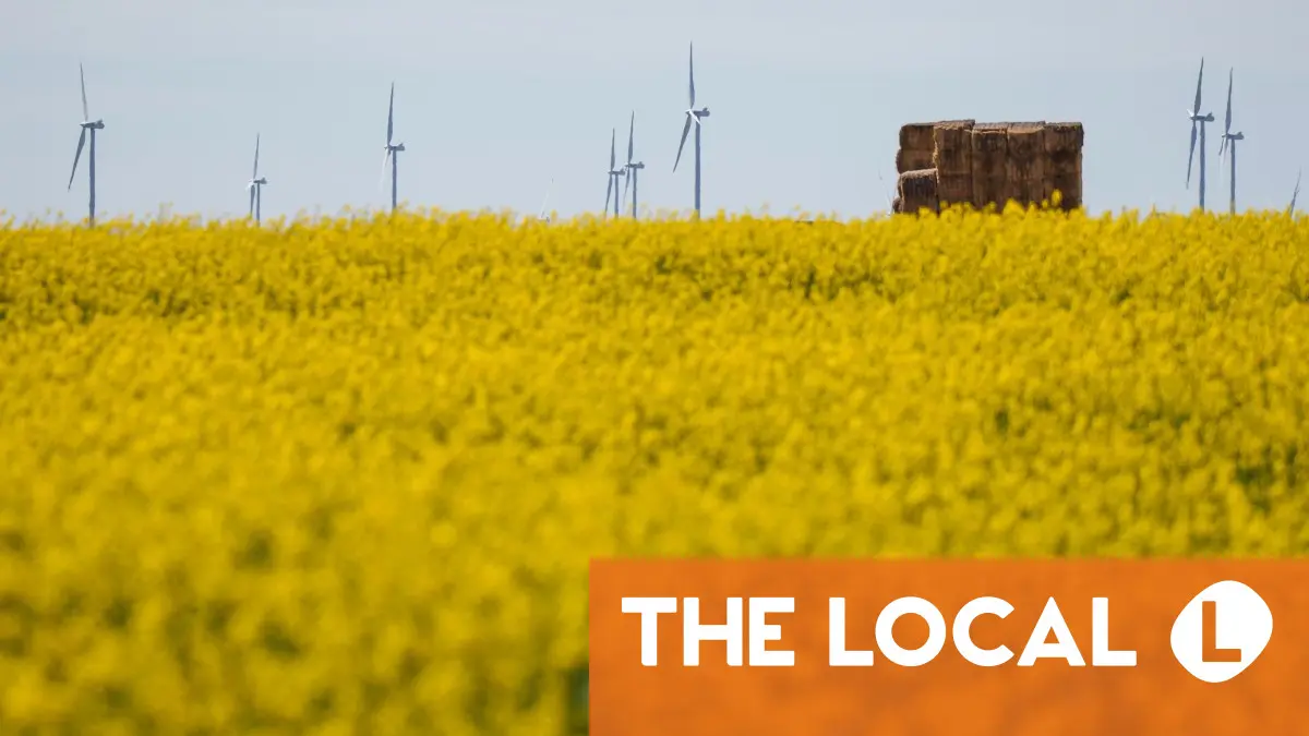 www.thelocal.es