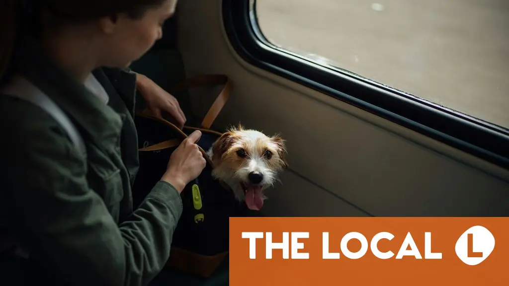 Is air travel in Italy really becoming more pet-friendly?