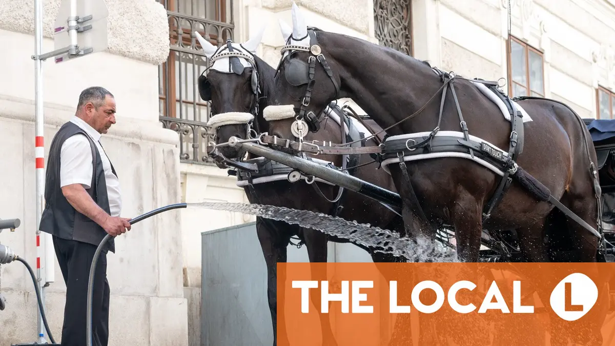 Where can you cool down for free in Vienna this summer?