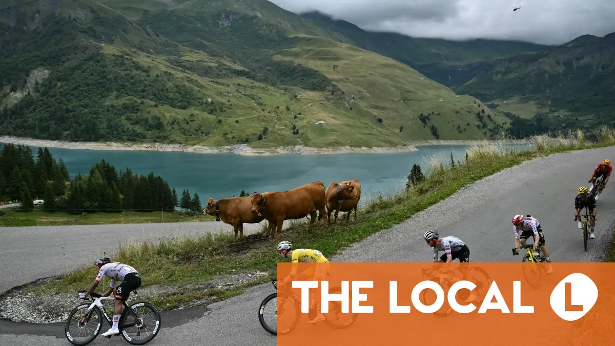 What's going on with France's Lumpy Skin Disease outbreak?