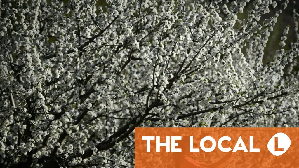 Extremadura, Spain: The Rising Alternative to Popular Tourist Destinations