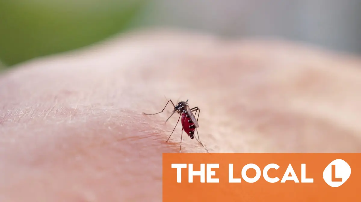 'Perfect summer' for mosquitoes in Paris region