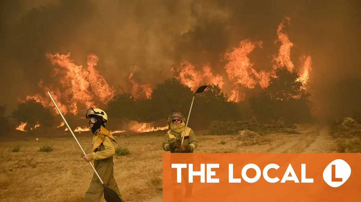 Spain's 2025 wildfires confirmed as most destructive in country's history