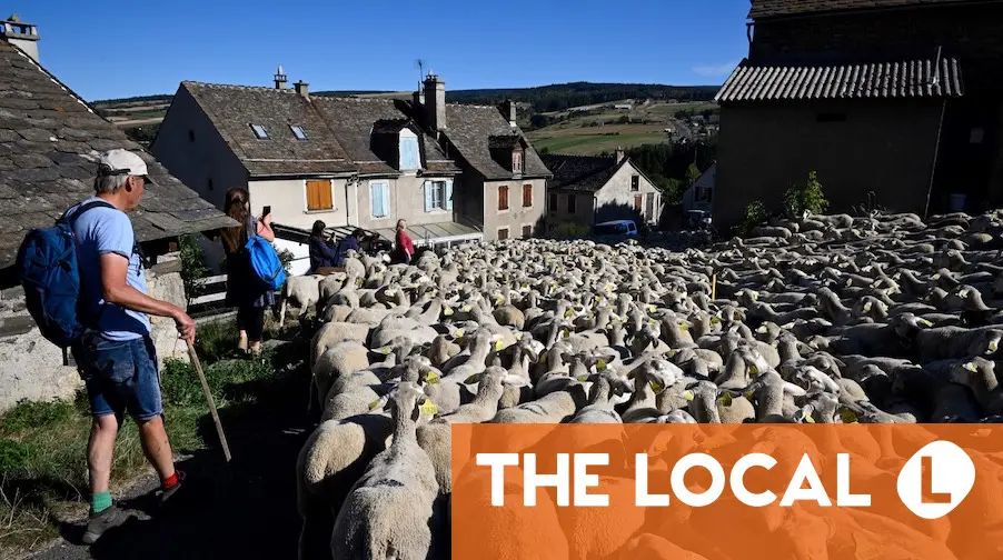 REVEALED: The part of southern France with the most affordable properties