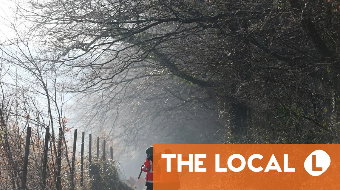 6 important articles for all times in France