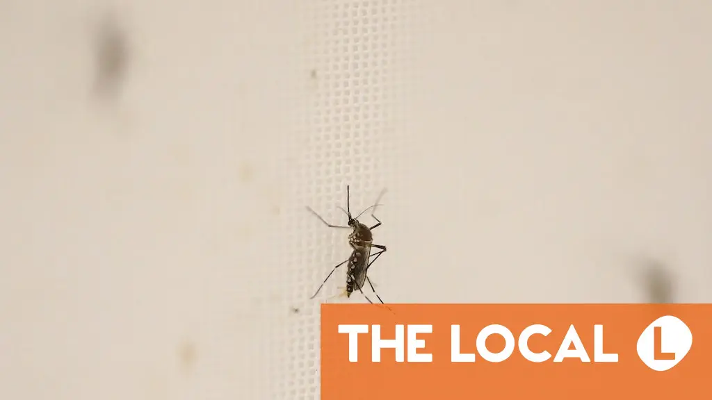 A roundup of the newest information on Wednesday