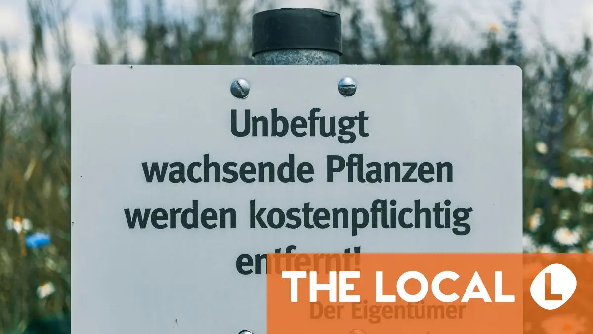 'Dry and apologetic': What foreigners really think of German humour