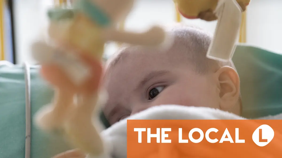 French government launches public survey on birth rates