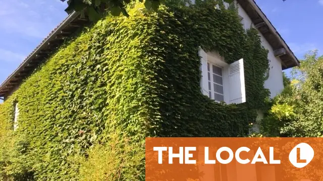 ANALYSIS: Why do so many foreigners fall in love with France?