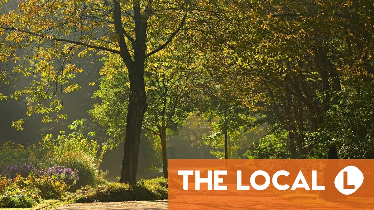 New Berlin law promises a million trees by 2040