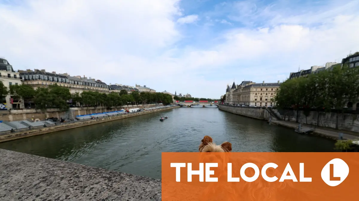 6 things to know about pet insurance in France