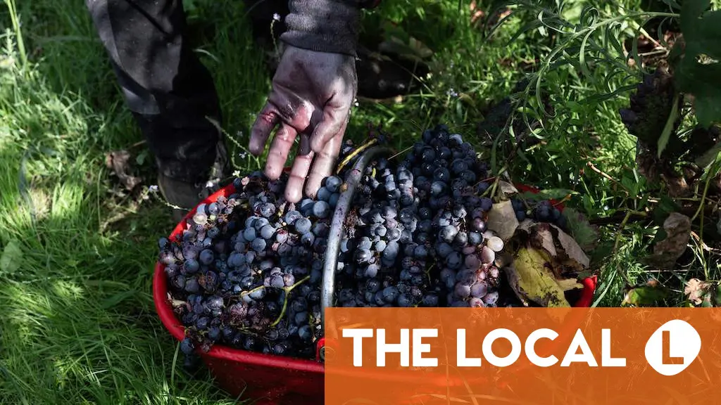 Italy's work permit system under fire over widespread fraud