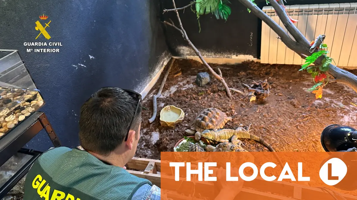 Spain Animal Rescue: Hundreds of Exotic Animals Saved From Illegal Shelter