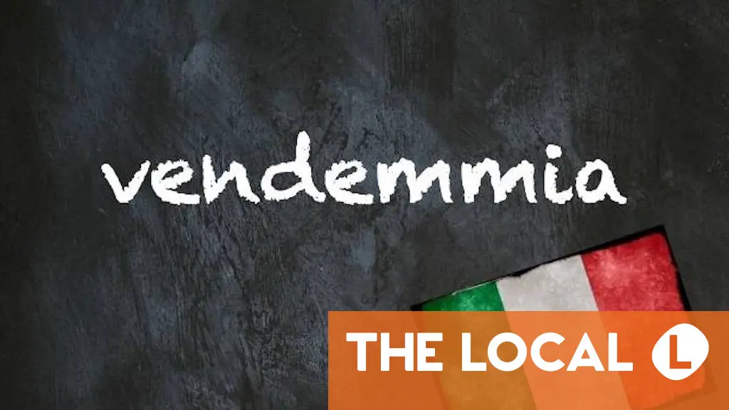 Italian word of the day: 'Vendemmia'