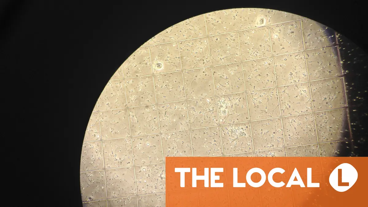 Nearly 100 children in Denmark conceived from sperm donor with increased cancer risk