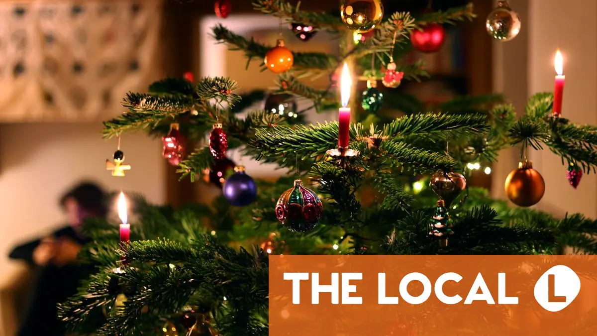 What you should know before you buy a Christmas tree in Germany