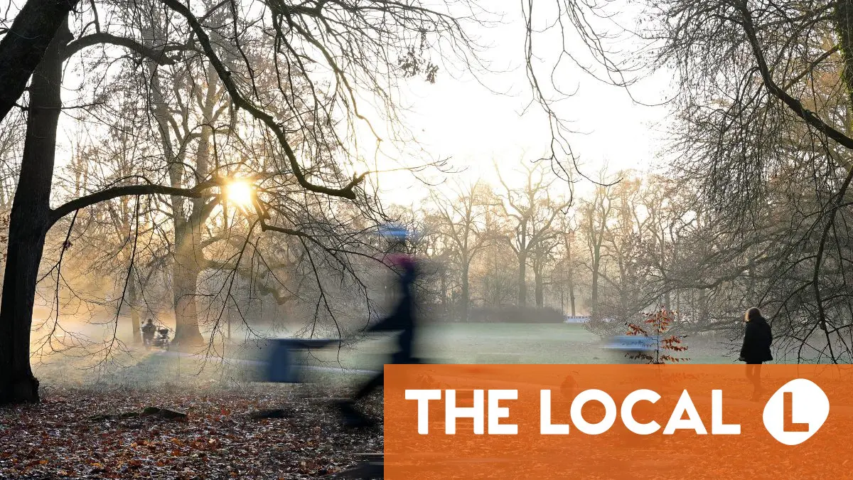 Inside Germany: Why Koreans love DM, exhausted delivery workers and a meteor shower