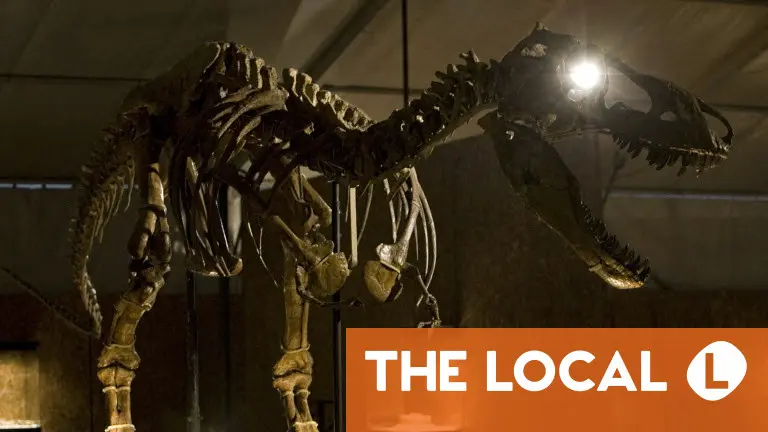 France to return smuggled dinosaur skeleton to Mongolia