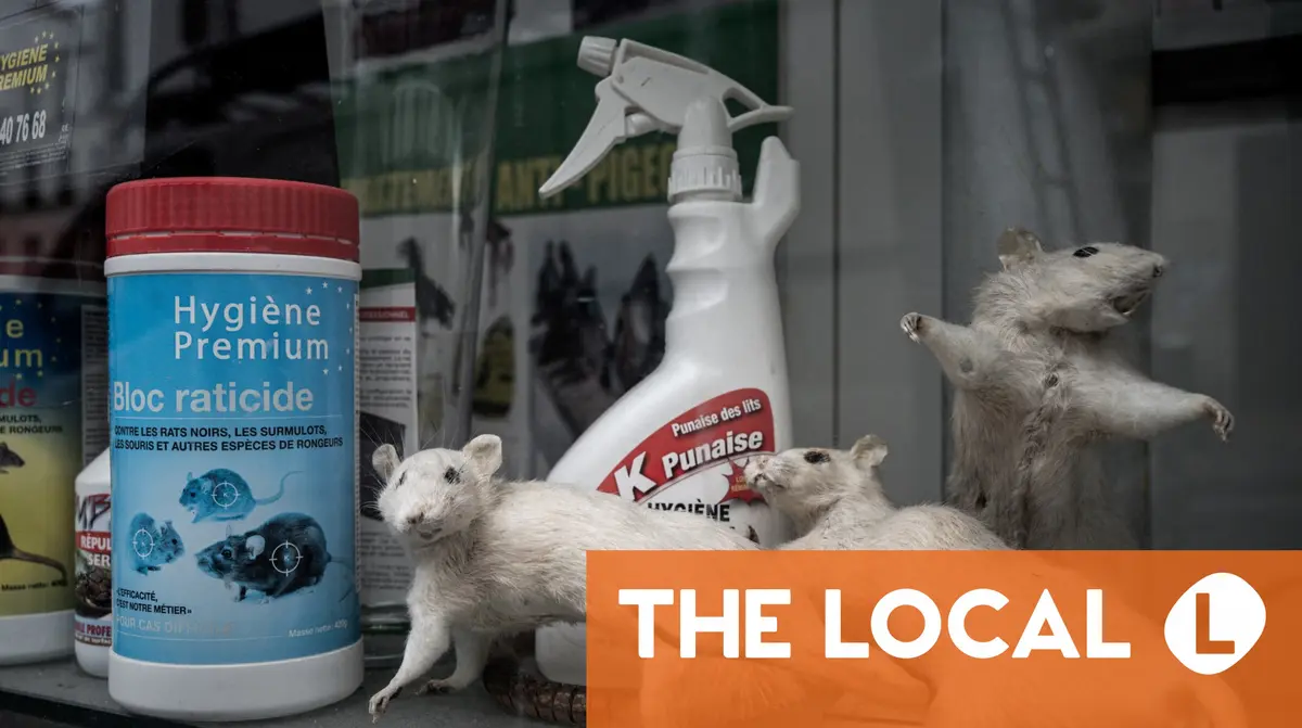 La Belle Vie: French comics and tacos and Parisian romance and rats