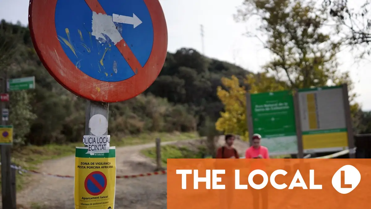 Spain detects seven new African swine fever cases