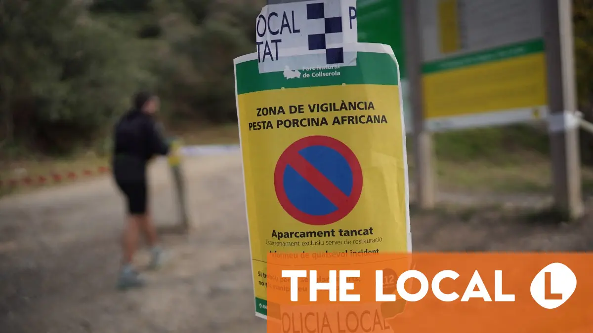 Spain deploys army after African swine fever outbreak