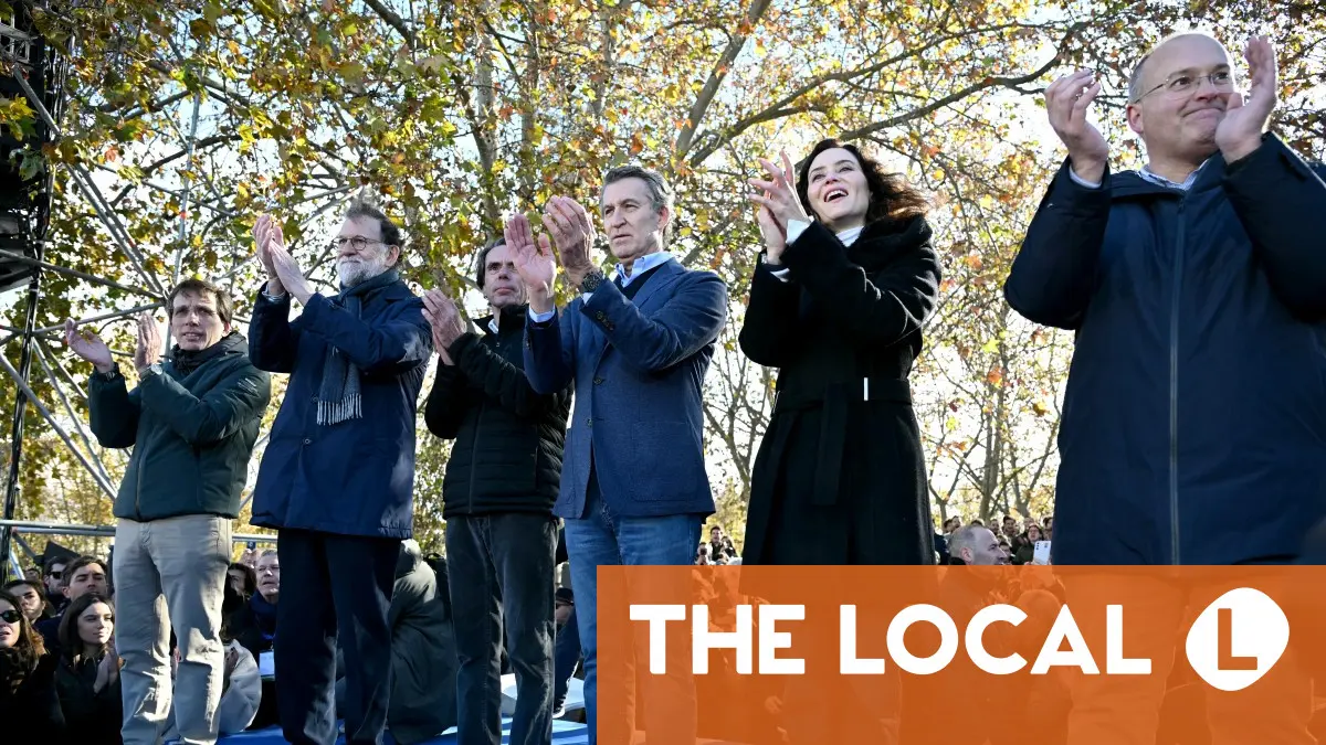 Opposition claims Spain's ruling Socialists in 'irreversible decline'